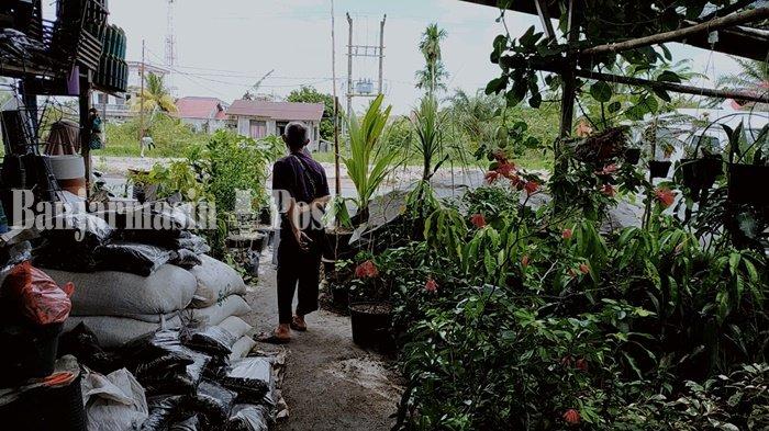 Pembeli Tanaman Hias Bisa Juga Bersantai Sejenak di Taman Tunggul Sangomang Palangkaraya