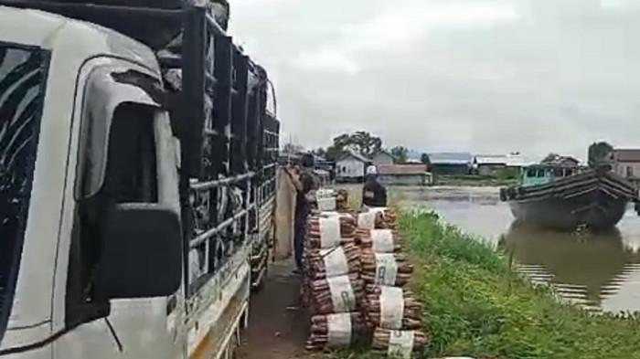 Warga Bajayau Lama Kirimkan Kayu Bakar untuk Haul Abah Guru Sekumpul