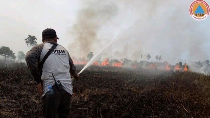 Asap Selimuti Banjarmasin Malam Ini, Ada Kebakaran Lahan di Jalan Lingkar Selatan,