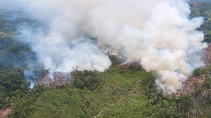 Kebakaran Lahan di Kecamatan Salam Babaris Kabupaten Tapin