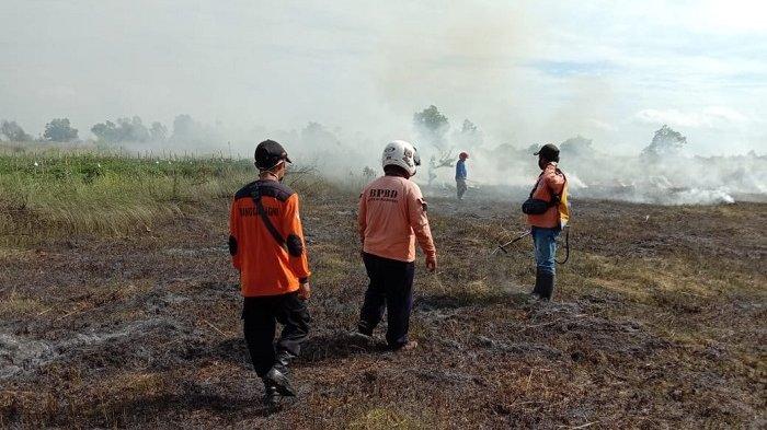 Titik Api di Banjarbaru Mulai Terdeteksi, BPBD Banjarbaru Lakukan Ini