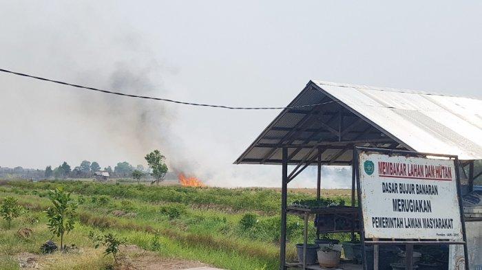 Kedua Kalinya, Petani Cabai Desa Hiyung Digegerkan Kebakaran Lahan