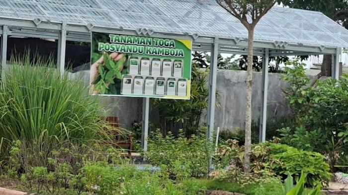 Tingkatkan Kualitas Layanan Kesehatan ke Masyarakat, Inovasi Kader Tapin Maju Diluncurkan