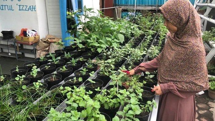 Mengenal Jenis Edible Flower, Bunga yang Dapat Dikonsumsi dan Jadi Hiasan Hidangan Kuliner