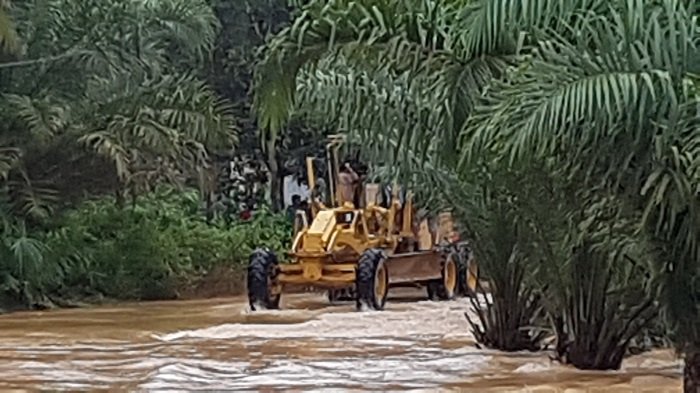 Perusahaan Sawit Bakal Fokus pada Kemitraan dengan Perkebunan Rakyat