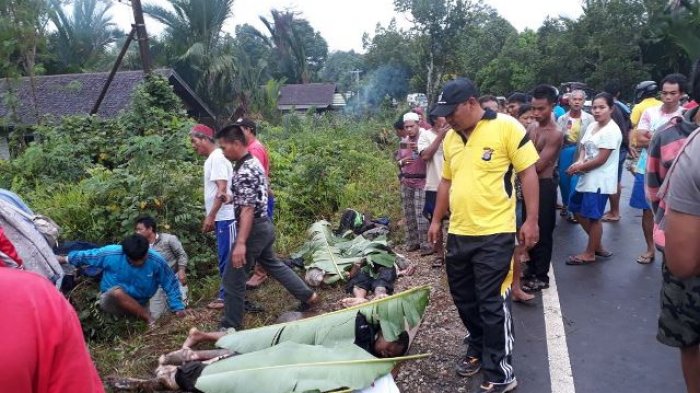 BREAKINGNEWS: Kecelakaan Maut di Jalan Trans Kalimantan Desa Pundu Kotim, Belasan Orang Tewas