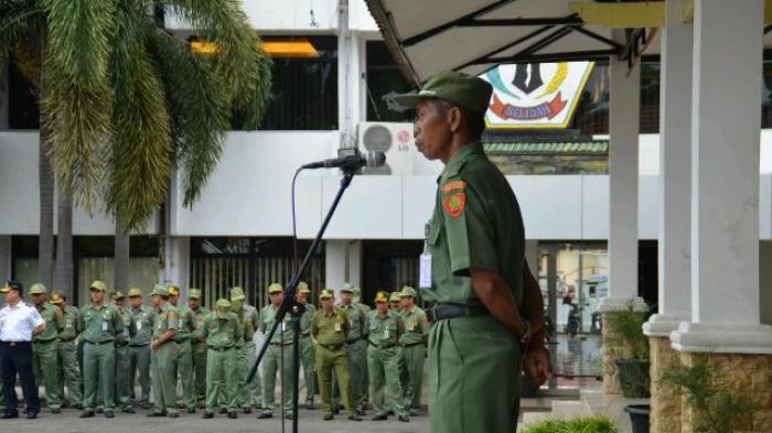 Batola Siapkan Benih Padi Bantu Petani
