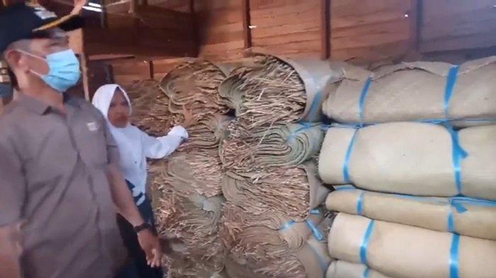 Sambil Menunggu Panen Padi, Warga Kapuas Timur Kerja Sampingan Anyam Tikar Purun