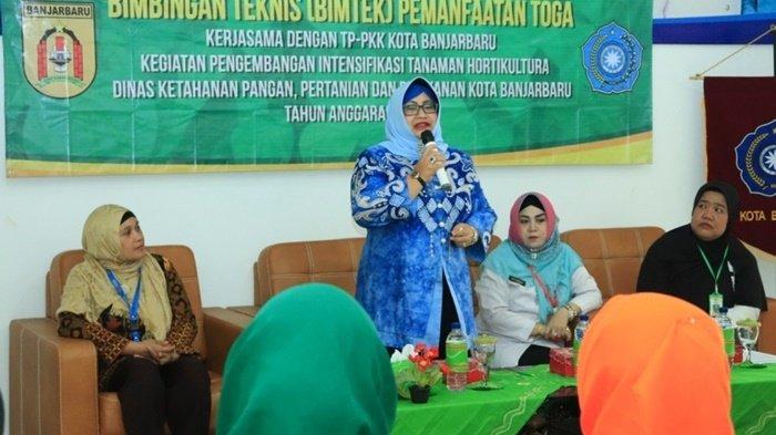TP PKK Banjarbaru Belajar Bikin Tanaman Obat Keluarga di Sekitar Rumah, Ini Tujuannya