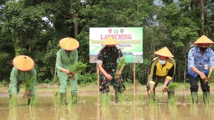 Kodim 1008 Tabalong Luncurkan Program Ketahanan Pangan Mulawarman Tangguh Bersama