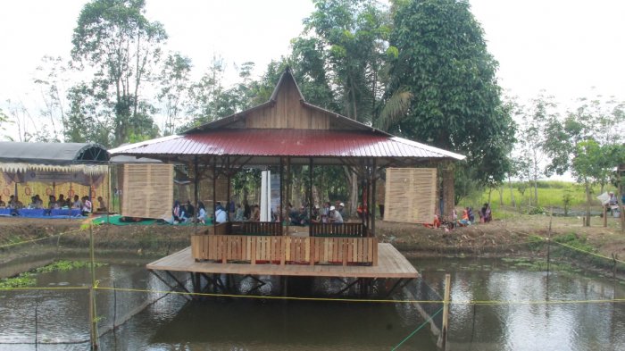 Desa Binjai Pirua Direkomendasikan Jadi Wisata Pemancingan Papuyu, di Sini Lokasinya