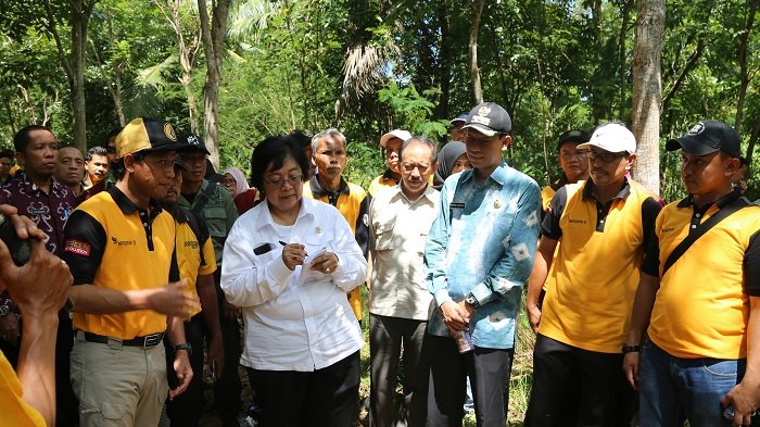 Siti Nurbaya Bakar Berkunjung ke Tanahlaut, Lihat Hutan Kemasyarakatan di Tebing Siring Bajuin