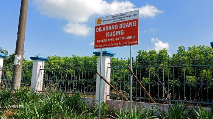 Kantor Ini Jadi Langganan Warga Buang Kucing