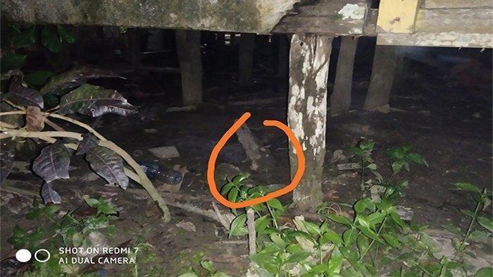 ANEH! Bocah 10 Tahun Hilang 3 Hari, Dicari Kemana-mana, Akhirnya Muncul di Bawah Rumah