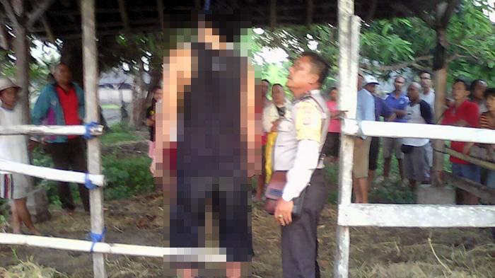 Periksa Kerbau, Ibu Ini Jumpai Anaknya Tewas Tergantung di Kandang, Kisahnya Mengejutkan