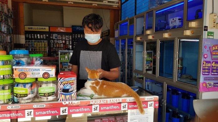 Toren dari Pelaihari Pemburu Tikus yang Andal, Tapi Tak Dimangsa Cuma Dijadikan Mainan