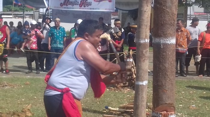 Namanya Lomba Maneweng di Kapuas, Peserta Harus Menebang, Memotong dan Membelah Kayu