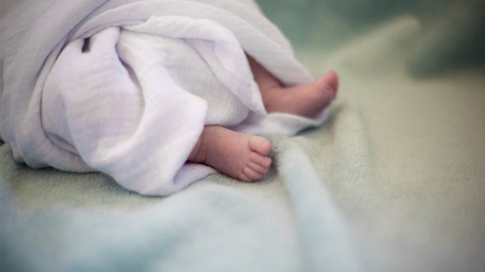 Geger Penemuan Bayi Laki-laki di Mantup Lamongan, Berawal Dari Suara Tangisan di Pagi Hari