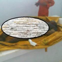 BREAKING NEWS: Mayat Ditemukan Mengambang di Sungai Amandit Kandangan