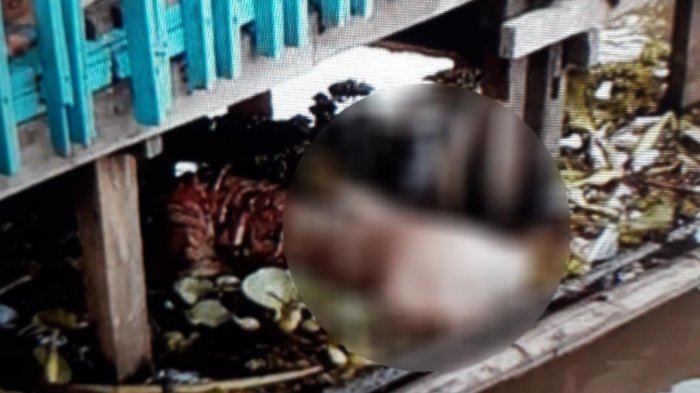 Perempuan yang Tenggelam di Desa Gudang Tengah Ditemukan di Desa Paku Alam