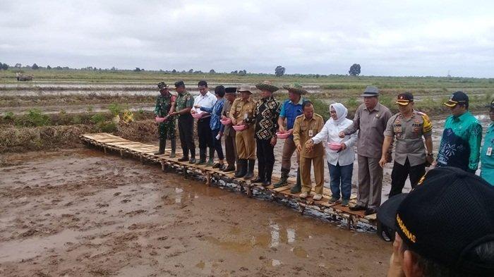 Petani Banjar Ini Sebut Program Tabela Serasi Perlu Disempurnakan, Ini Alasannya