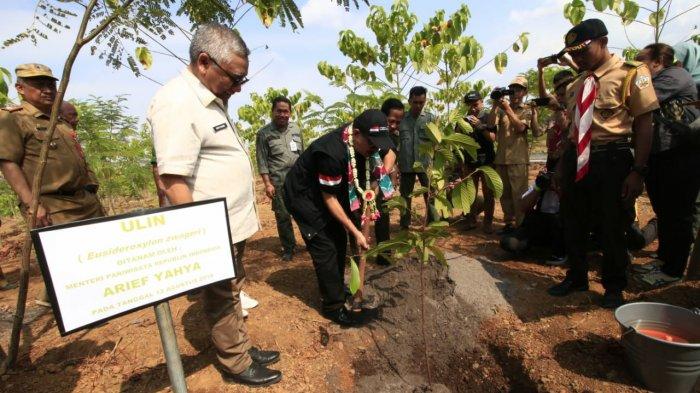 Menteri Pariwisata Beri Nama Pohon Ulin 'Arif Yahya', Juga Menijau Pasar Terapung hingga Tahura