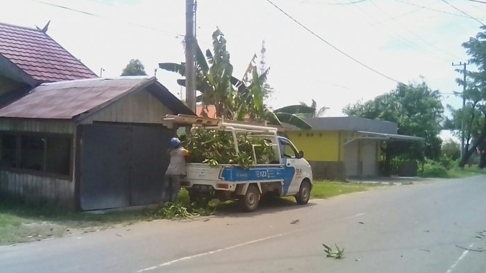 Begini Reaksi Cepat Petugas PLN Ketika Ada Ranting Pohon Menimpa Kabel Listrik