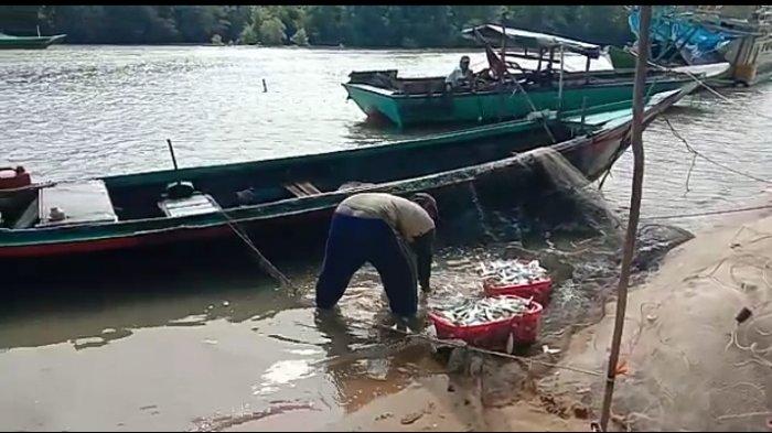 Sulap Limbah Ikan, Nelayan Kualatambangan Gunakan Bahan Tambahan ini