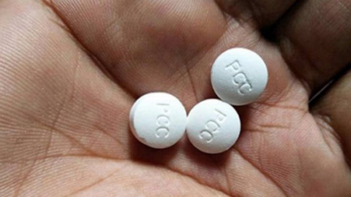 BNNP Kalsel Sebut Belum Temukan PCC di Banua