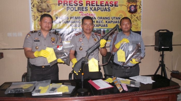 Tiga dari 10 Pembantai Orangutan Ditetapkan sebagai Tersangka