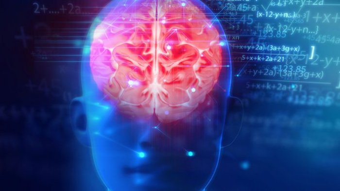 Hasil Riset: Ternyata Orang Cerdas Biasa Panjang Umur