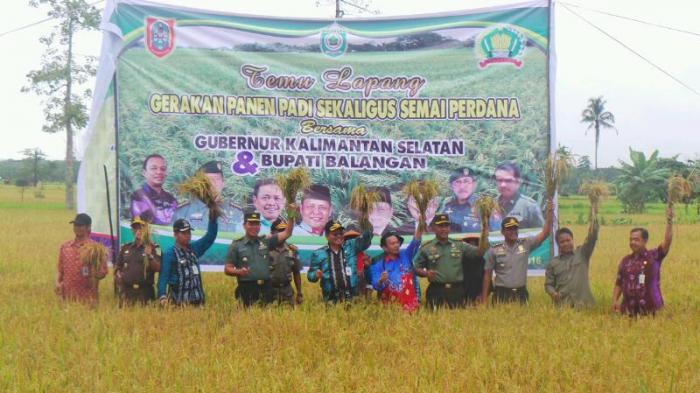 Balangan Panen Perdana di Desa Bangkal