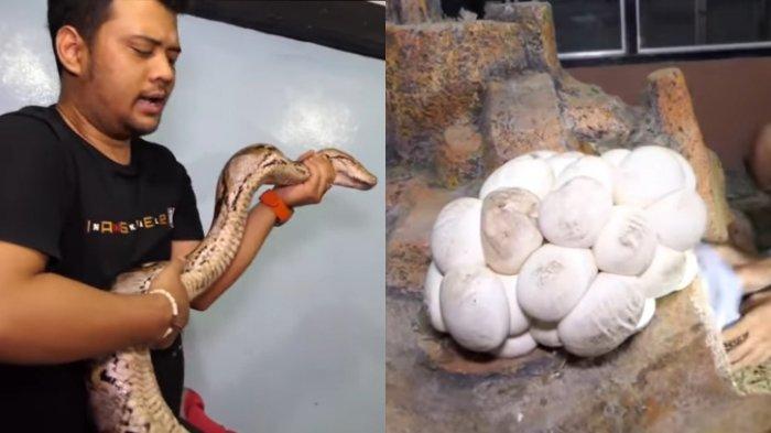 Hind bokira porno Ukrainada porno kastingga qanday borish mumkin