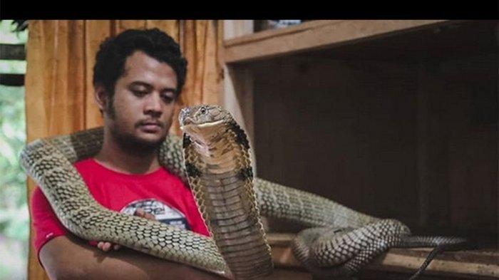 Bakat Ajaib Panji Petualang Terungkap, Saat Bayi Sudah Dikeroyok Binatang Ini
