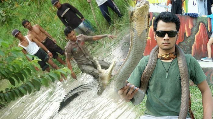 Reaksi Panji Petualang Soal Keheboh Netizen Gegara Ular King Kobra Garaga Muncul