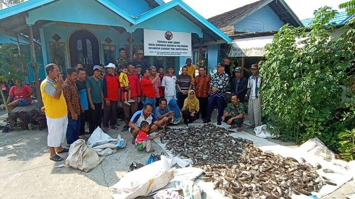 Persiapan Pra Tanam Padi Program Serasi, Petani Jejangkit Batola Racuni Tikus Hingga 3.168 Ekor