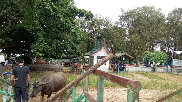 Profil Dinas Peternakan dan Kesehatan Hewan (Nakeswan) Kabupaten Tanahlaut