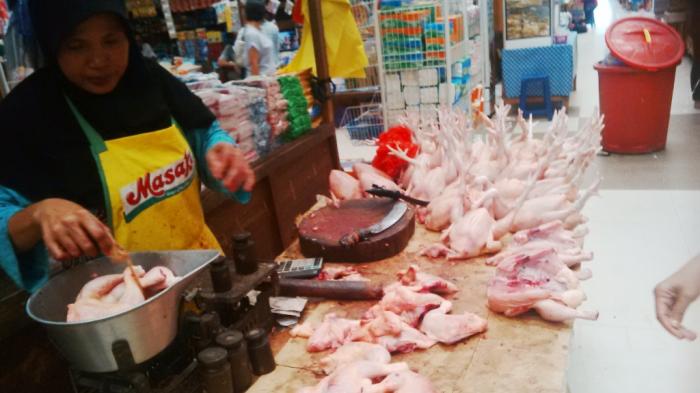 Broker Mengaku Sulit Mainkan Harga Jual Ayam