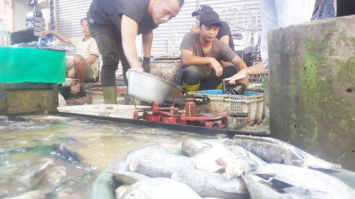 Harga Ikan Air Tawar di Banjar Naik, Selain Momen Tahun Baru Hal ini Turut Jadi Penyebabnya
