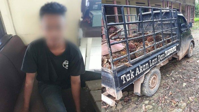 Tangkap Pelaku Pencurian, Polsek Kapuas Murung Amankan Pikap Bermuatan Sawit