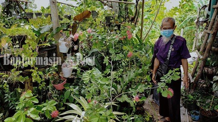 Penjual Tanaman Hias di Palangkaraya Ini Juga Sediakan Bibit Buah-buahan