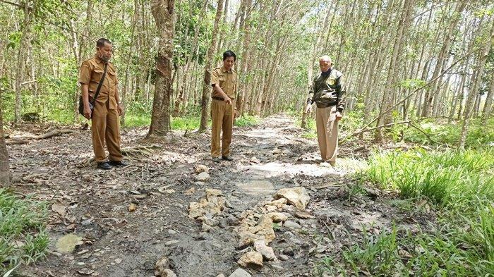 Jalan Usaha Tani di Baruh Ulin Kabupaten Balangan Segera Diperbaiki