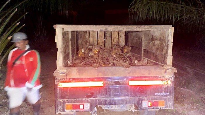 Pencuri Tinggalkan Mobil, HP, Ribuan Kilo Sawit di Kelumpang Tengah Kabupaten Kotabaru