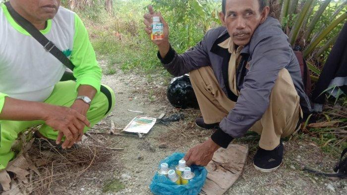 Akui Daerah Endemis Tungro, Kadis Pertanian Batola Berikan Tips Praktis Bagi Petani Atasi Tungro