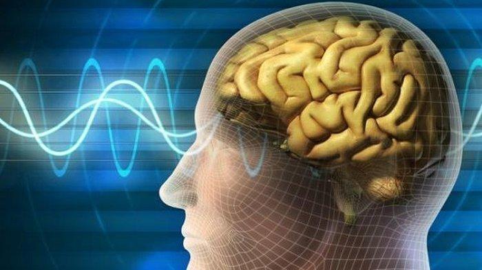 6 Tunanetra Ini Bisa “Melihat” Kembali Berkat Teknologi Implan Otak