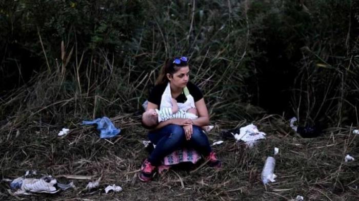 AS dan Eropa Mulai Terbuka untuk Pengungsi Suriah