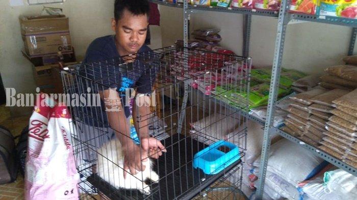 Di Petshop Ini Hewan Peliharaan Juga Digrooming Sebelum Pulang Bersama Pemiliknya