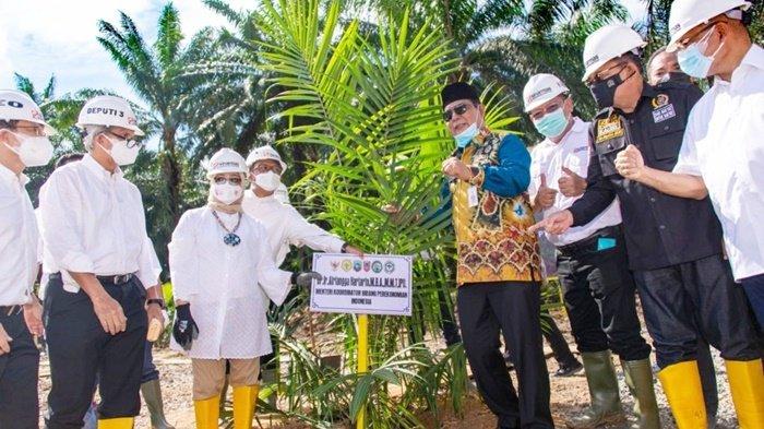 Kabupaten Kotabaru Masih Menjadi Daerah yang Terbanyak Ekspor CPO dan Turunannya