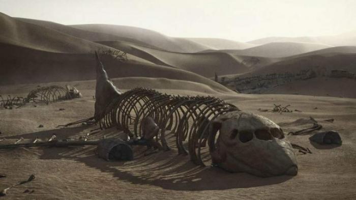 Pesawat yang Hilang Misterius 54 Tahun Silam Akhirnya Ditemukan