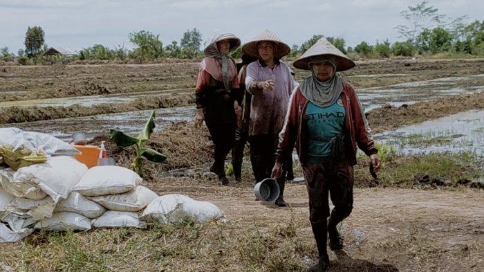 Bhabinkamtibmas Food Estate Polda Kalteng Dorong Warga Manfaatkan Lahan Tidur
